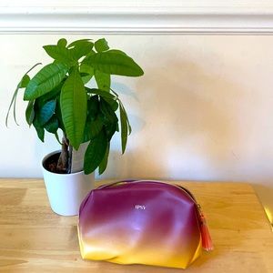 Ipsy makeup bag